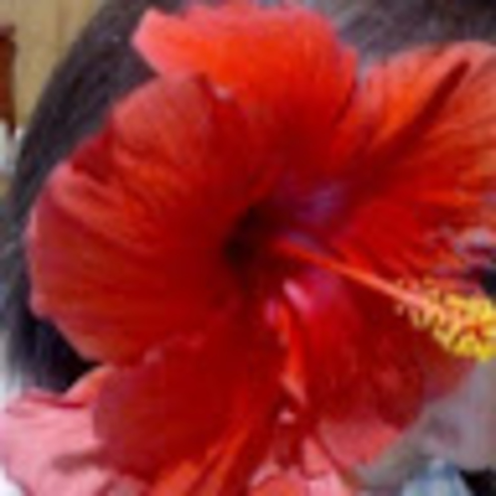 Meet your Posher, Aurora